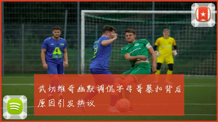 武切维奇幽默调侃字母哥暴扣背后原因引发热议