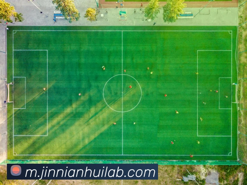 金年会平台生态图